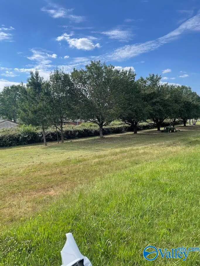 1.58 Kelly Spring Road, Harvest, AL 35749 - #1