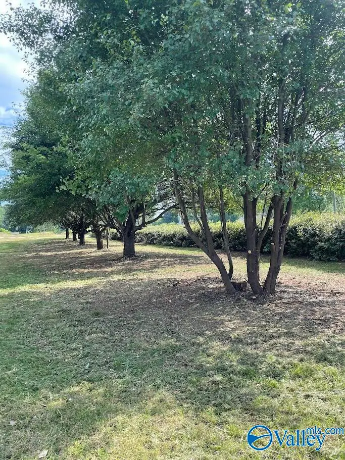 1.58 Kelly Spring Road, Harvest, AL 35749 - #2