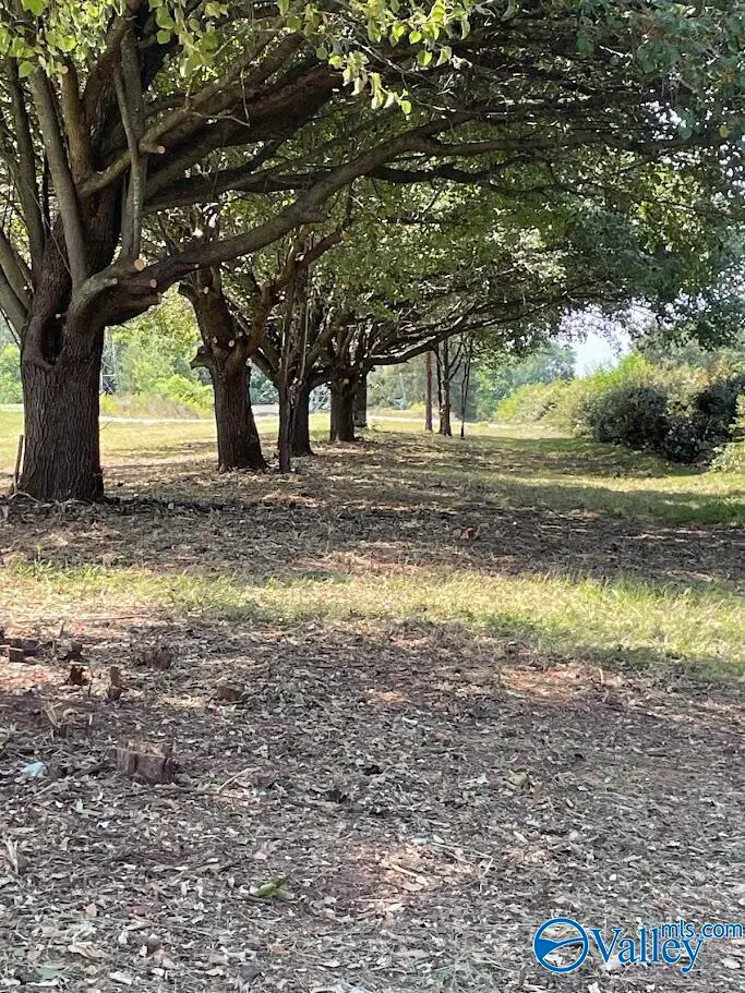 1.58 Kelly Spring Road, Harvest, AL 35749 - #3