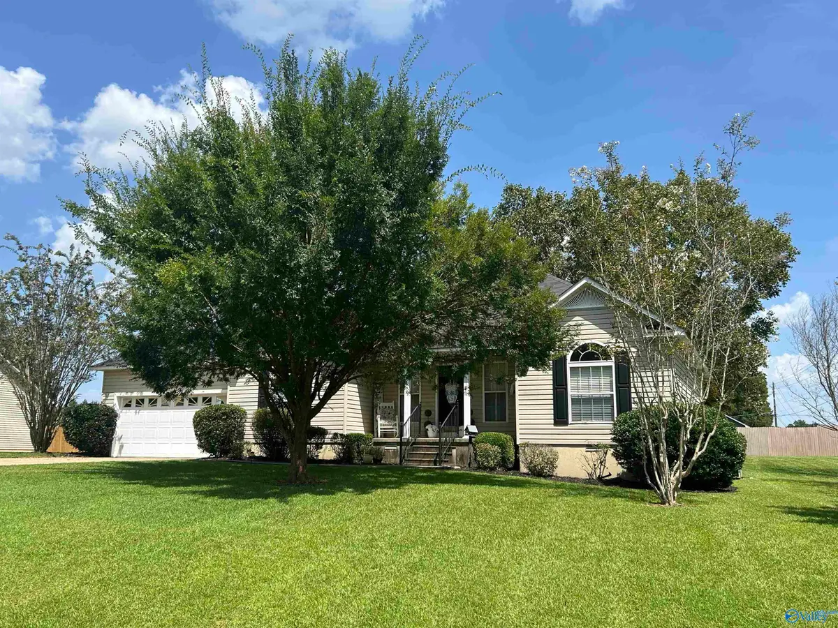 24 Rachel Lane, Hokes Bluff, AL 35905 - #1