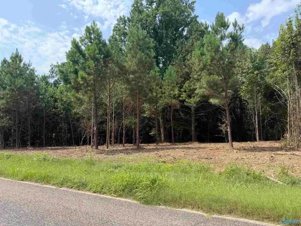 Tract 2 Flanagan Road, Athens, AL 35614