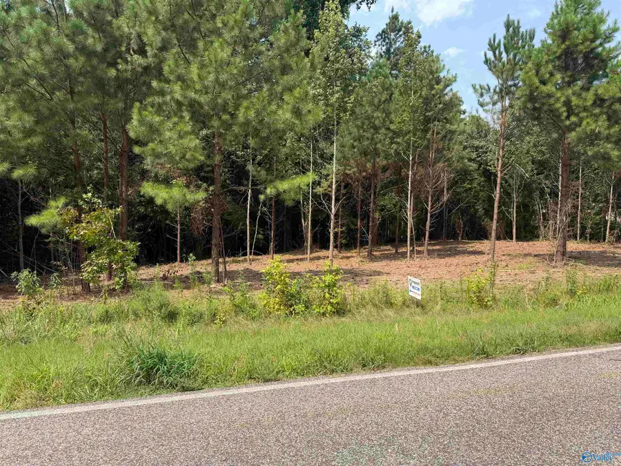 Tract 2 Flanagan Road, Athens, AL 35614 - #3