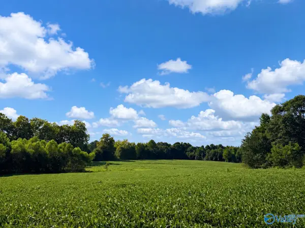 18.6 Acres +/- Highway 431, Boaz, AL 35956