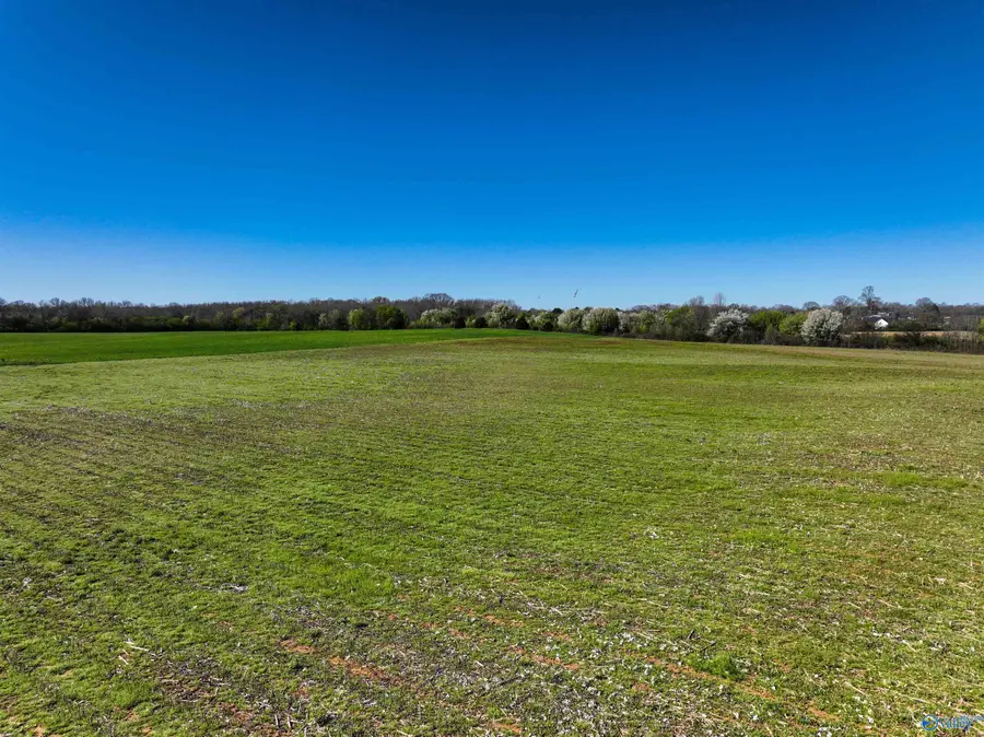 20 Stephens Road, Hazel Green, AL 35750 - #2