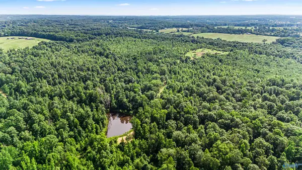 284 acres Eva Road, Vinemont, AL 35179