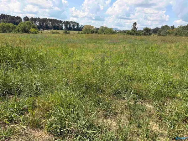 Lot 30 County Road 158, Centre, AL 35960