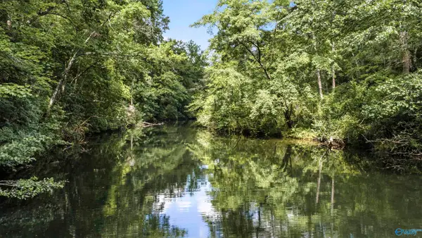14.5 Road 948, Mentone, AL 35984