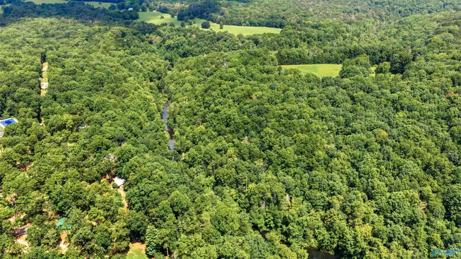 14.5 Road 948, Mentone, AL 35984 - #3