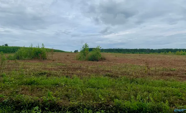 7 County Road 508, Fort Payne, AL 35968
