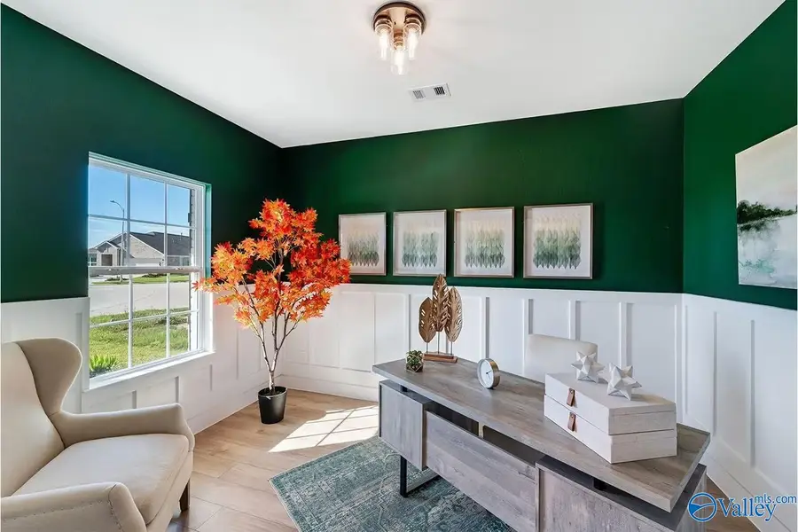 183 Mill View Drive, New Market, AL 35761 - #3