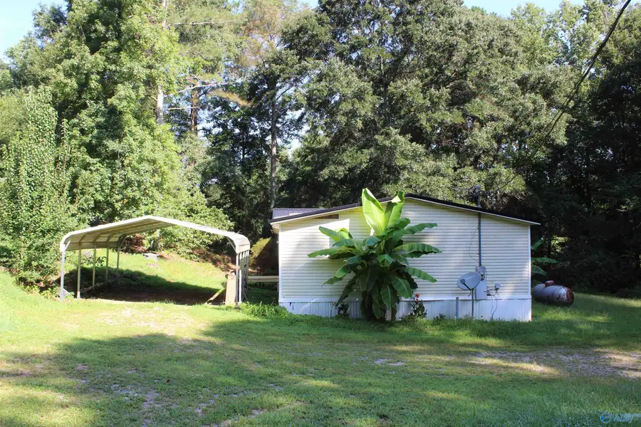 209 Chigger Ridge Road, Cleveland, AL 35049 - #3
