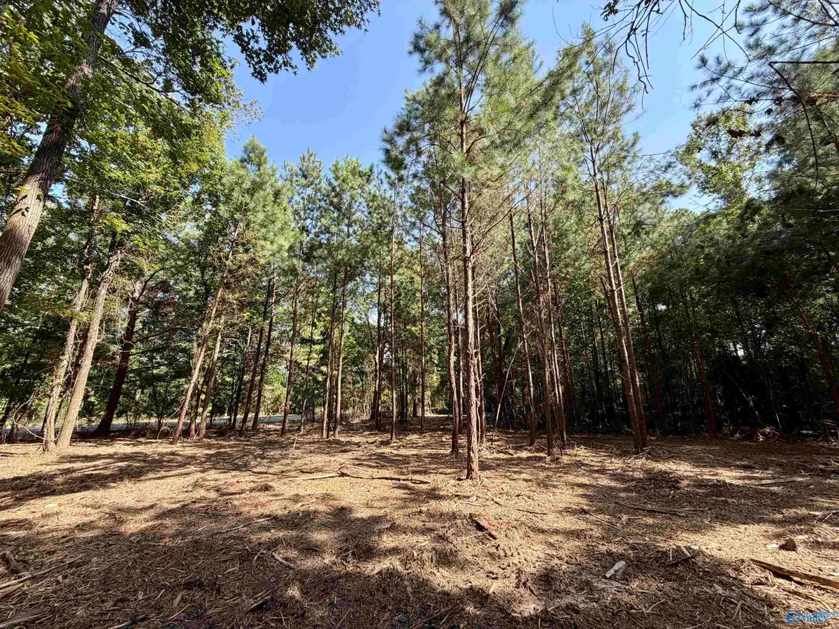 5 Acres +/- Oakland Drive, Gadsden, AL 35901 - #1
