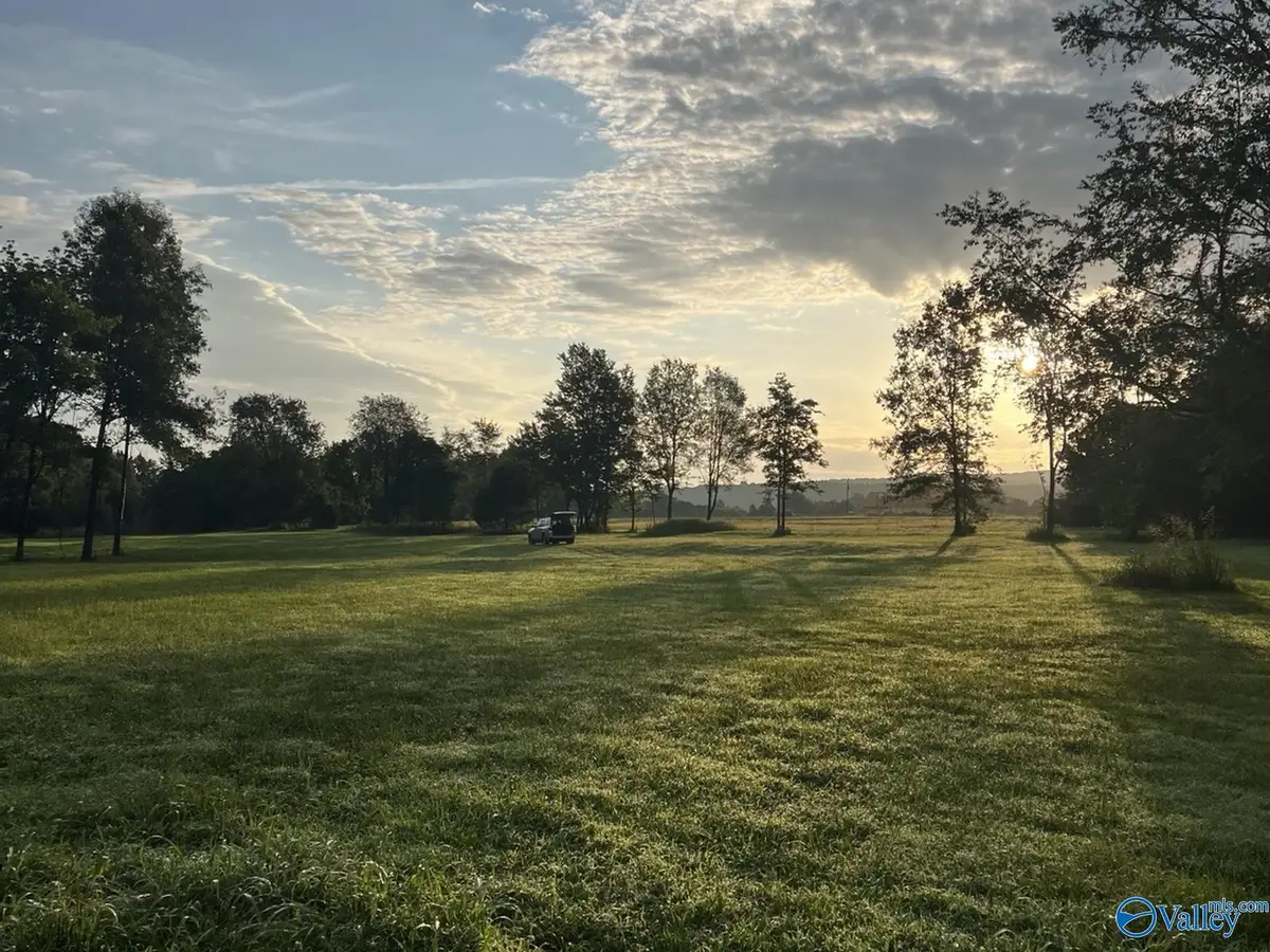 Lot 3 Moe Road, New Market, AL 35761 - #1