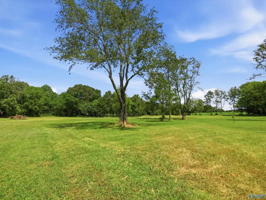 Lot 3 Moe Road, New Market, AL 35761 - #3