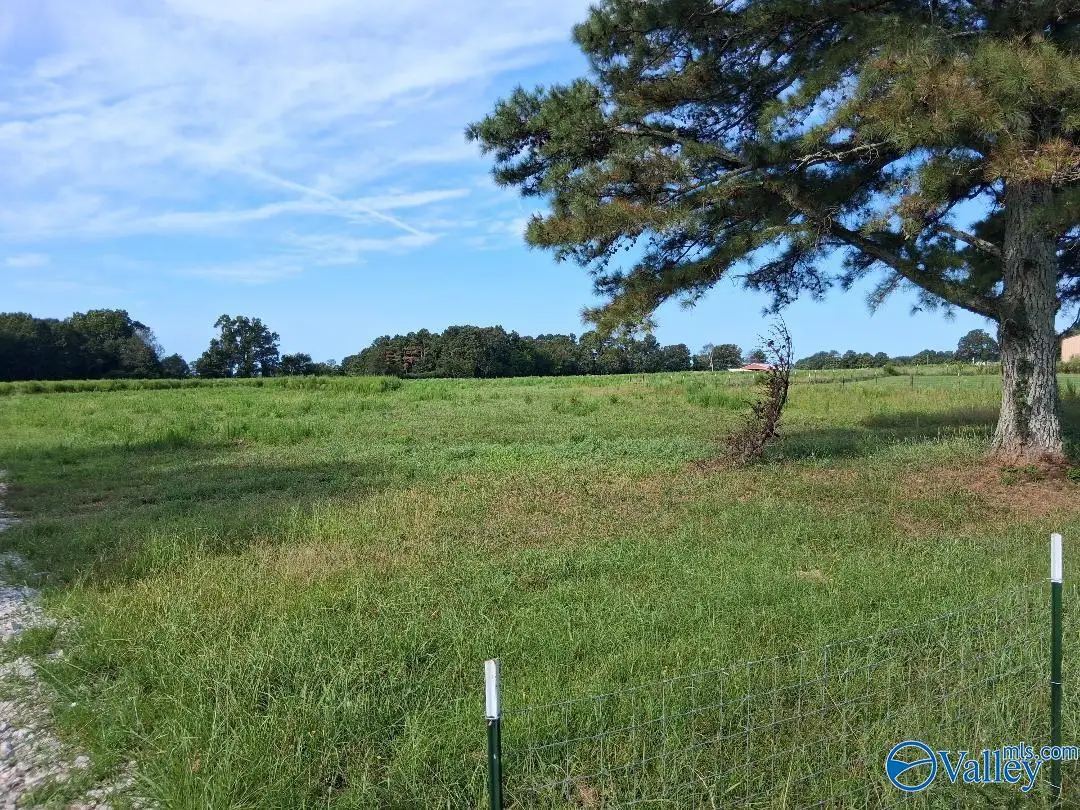 17586 Cross Key Road, Athens, AL 35614 - #1