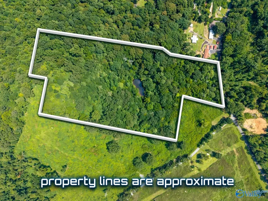 18 Acres Aldridge Gap Road, Guntersville, AL 35976 - #2