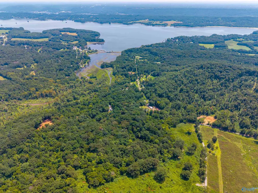18 Acres Aldridge Gap Road, Guntersville, AL 35976 - #3