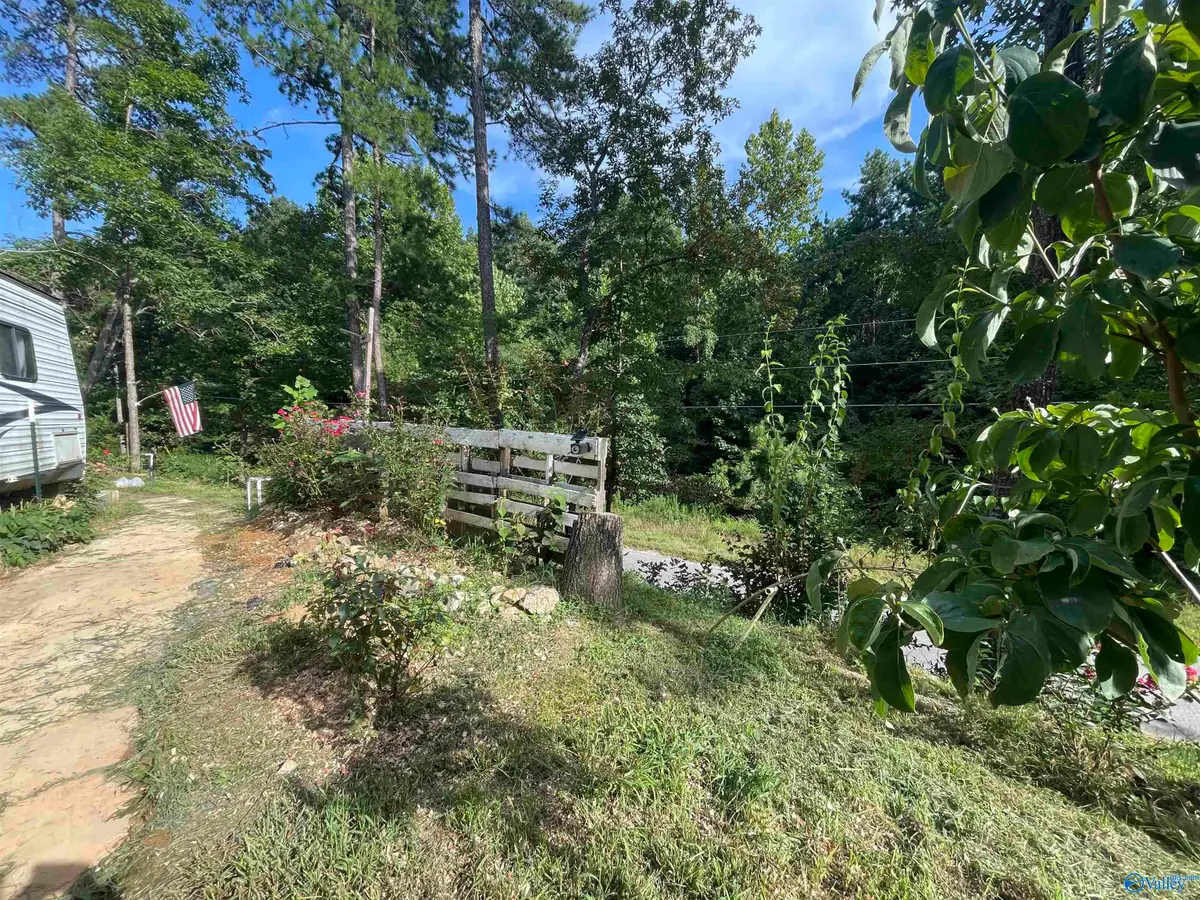 797 Dripping Rock Road, Piedmont, AL 36272 - #1