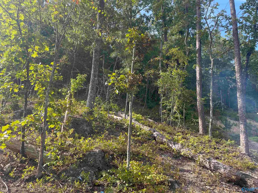 797 Dripping Rock Road, Piedmont, AL 36272 - #3