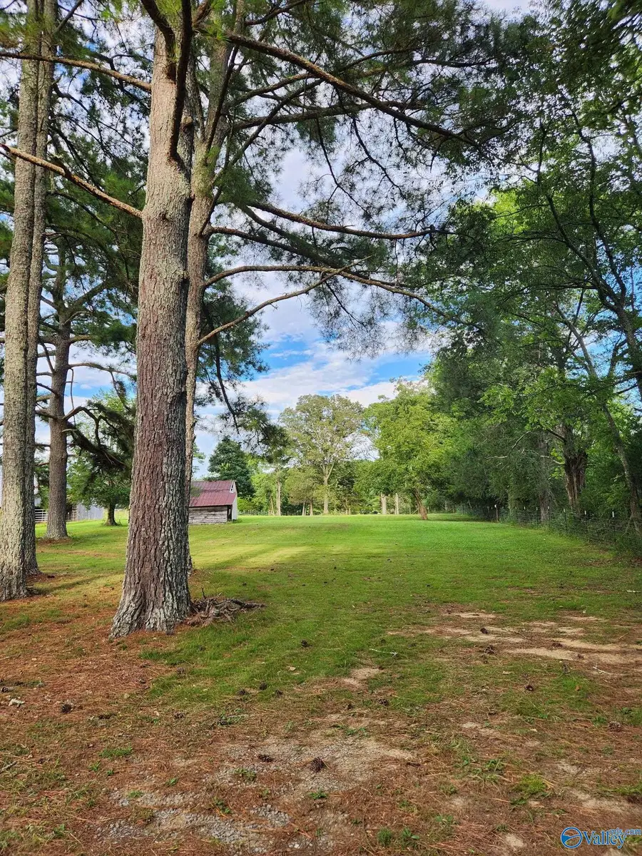 519 Carmichael Road, Valley Head, AL 35989 - #2