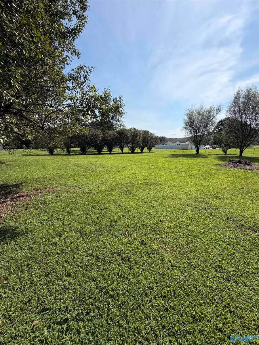 15941 Scottsboro Hwy 79, Scottsboro, AL 35768 - #3