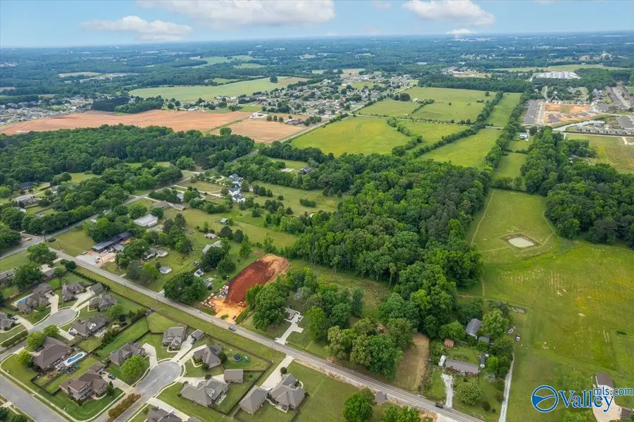 25177 Capshaw Road, Athens, AL 35613 - #3