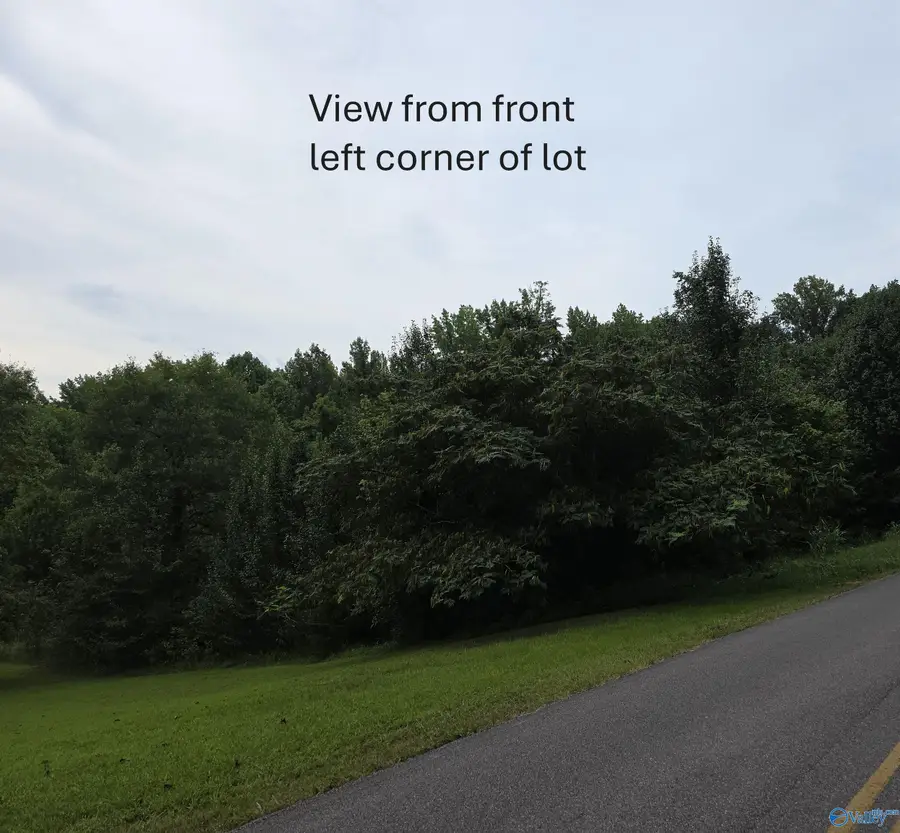 7.7+ Acres Still Meadow Road, Somerville, AL 35670 - #3