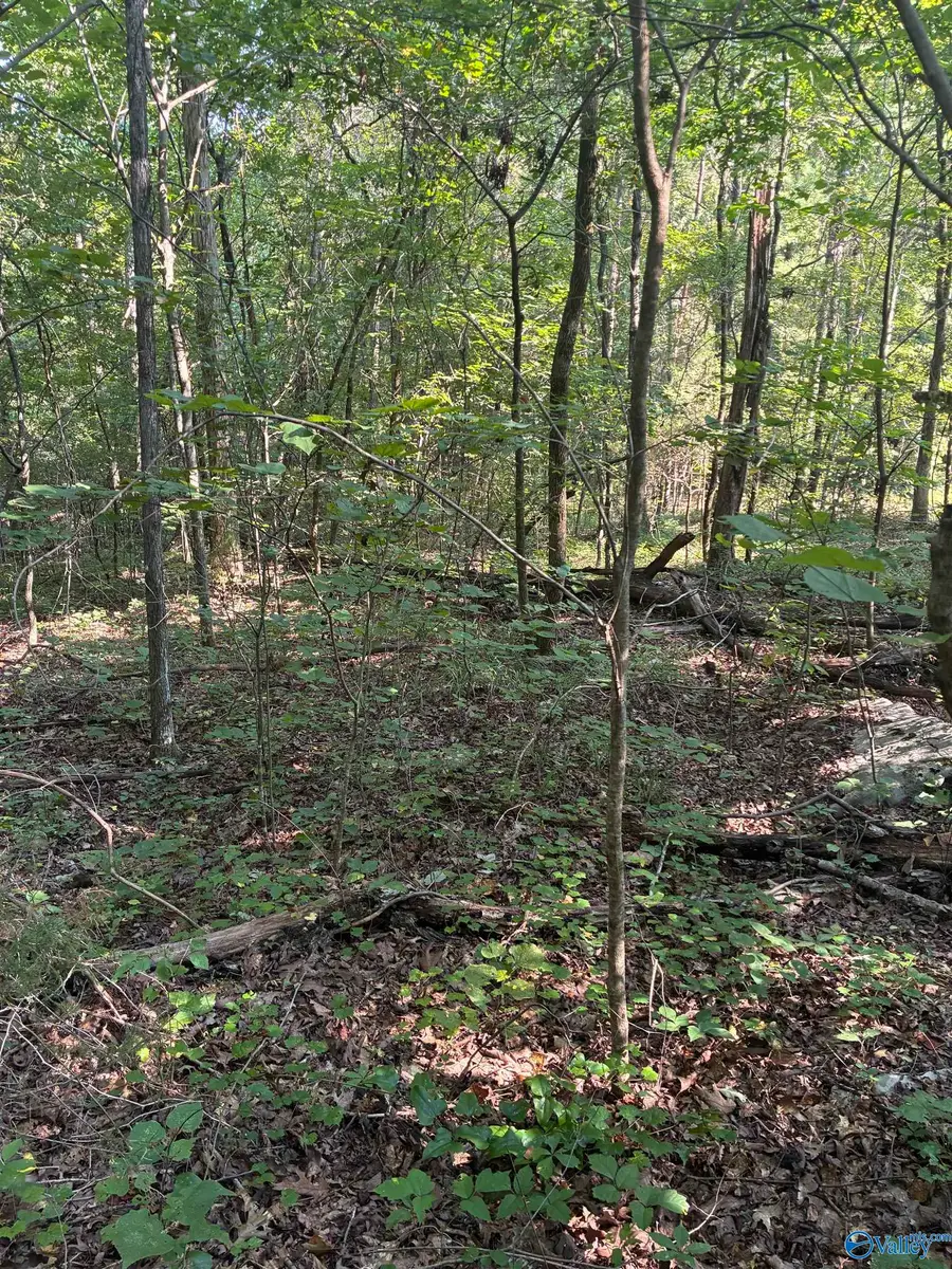 1 Crooked Hill Private Drive, Falkville, AL 35622 - #2
