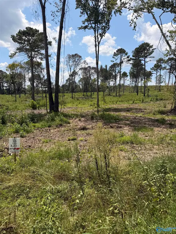 Lot 33 County Road 158, Centre, AL 35960
