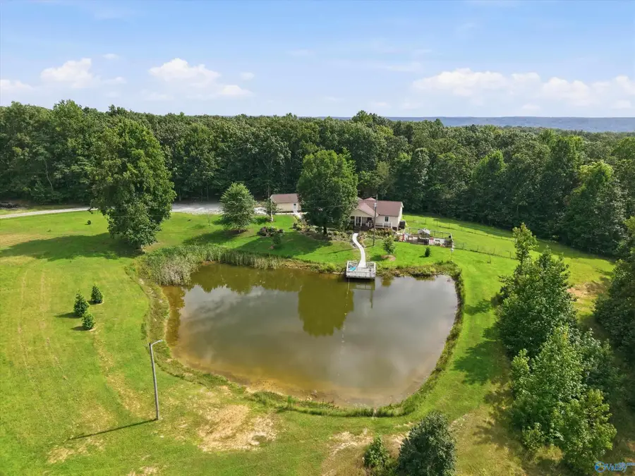 1050 County Road 303, Princeton, AL 35766 - #2