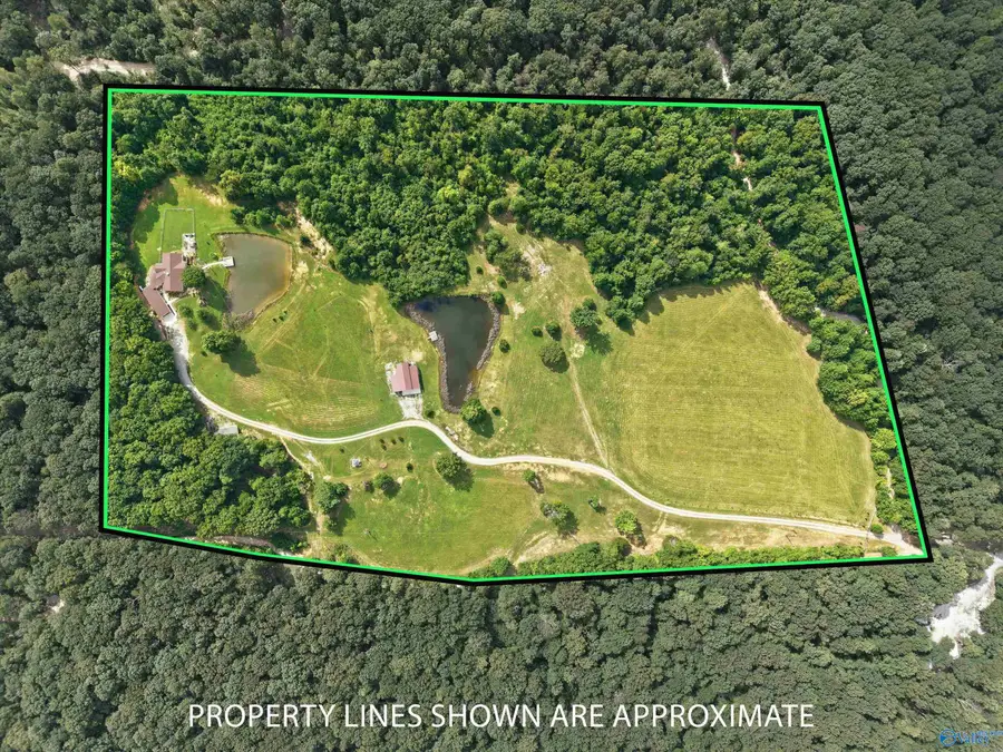 1050 County Road 303, Princeton, AL 35766 - #3