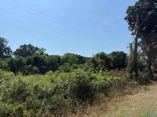 2740 County Road 7, Leesburg, AL 35983