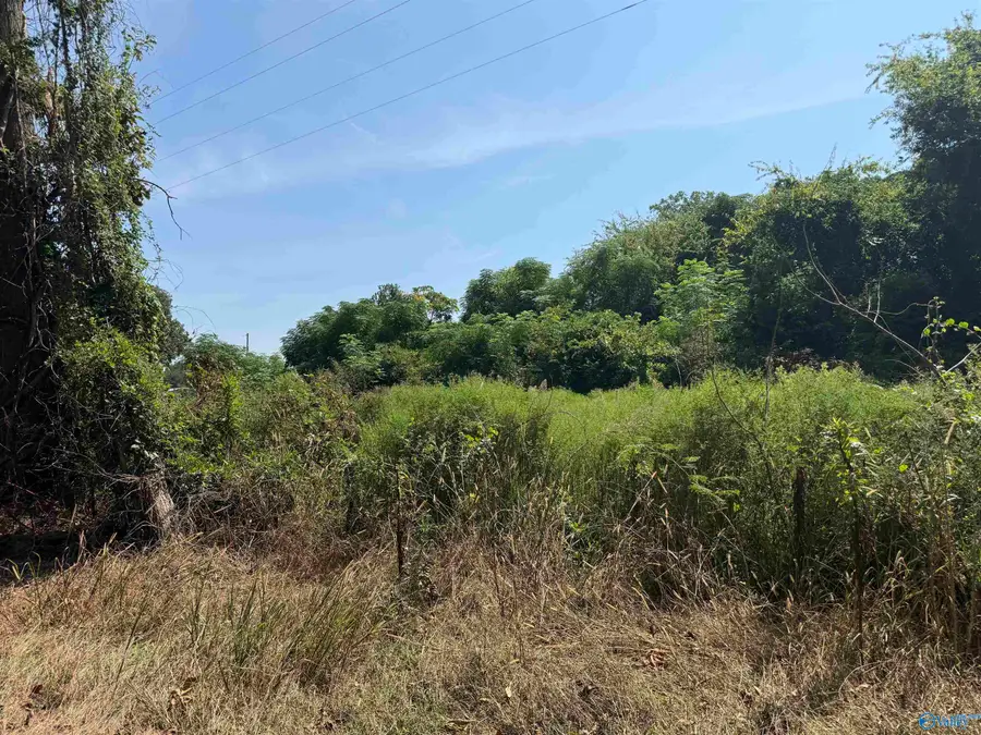 2740 County Road 7, Leesburg, AL 35983 - #2
