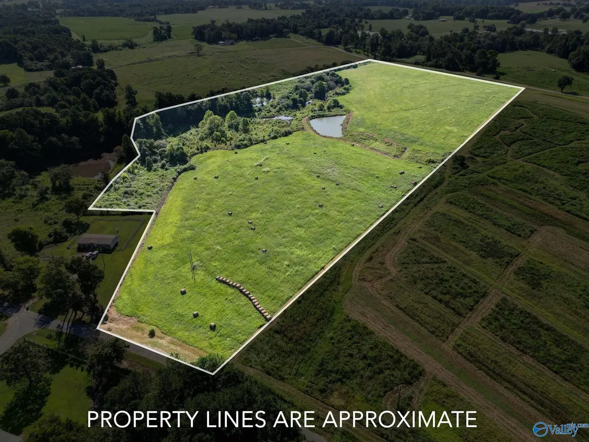 27.5 ACRES Cherokee Drive, Horton, AL 35980 - #1