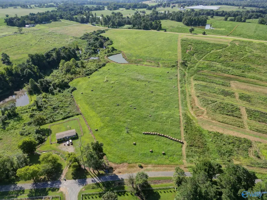 27.5 ACRES Cherokee Drive, Horton, AL 35980 - #2