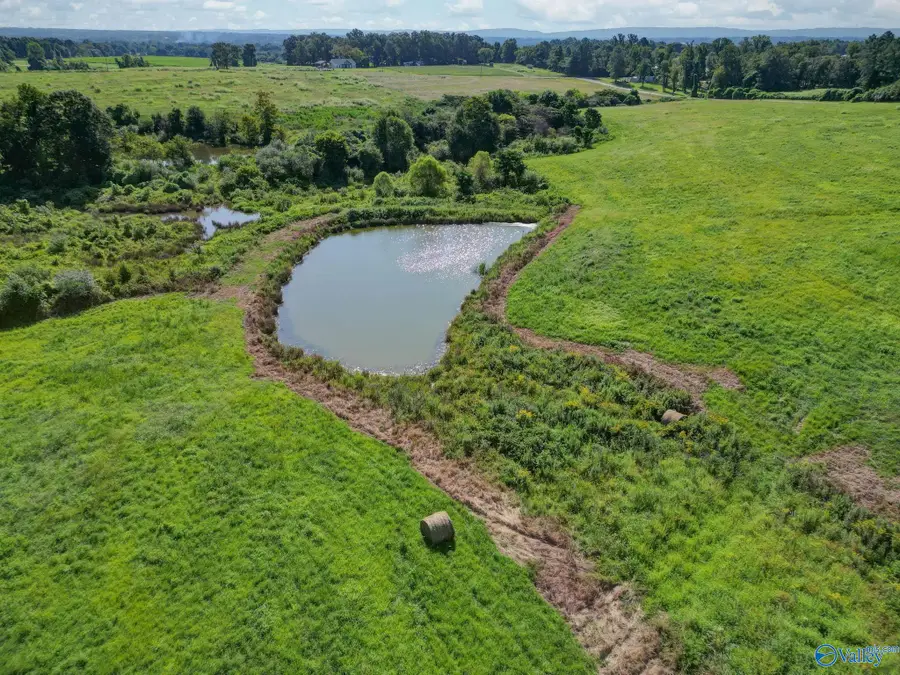 27.5 ACRES Cherokee Drive, Horton, AL 35980 - #3