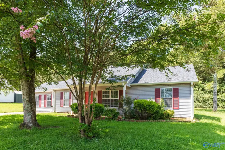 207 Barberry Lane, Toney, AL 35773 - #3