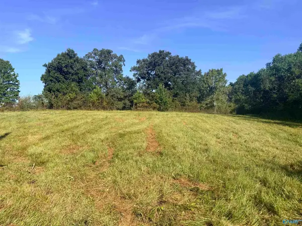 Lot 31 County Road 158, Centre, AL 35960