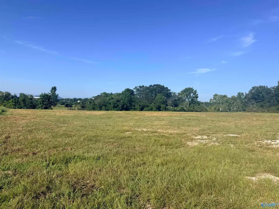 Lot 31 County Road 158, Centre, AL 35960 - #2