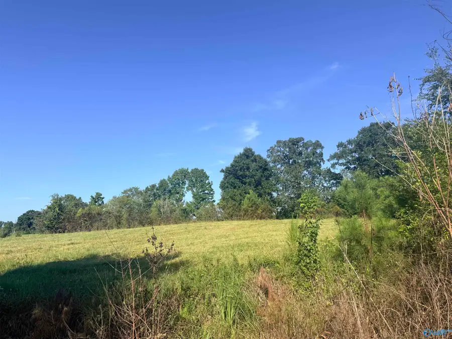 Lot 31 County Road 158, Centre, AL 35960 - #3