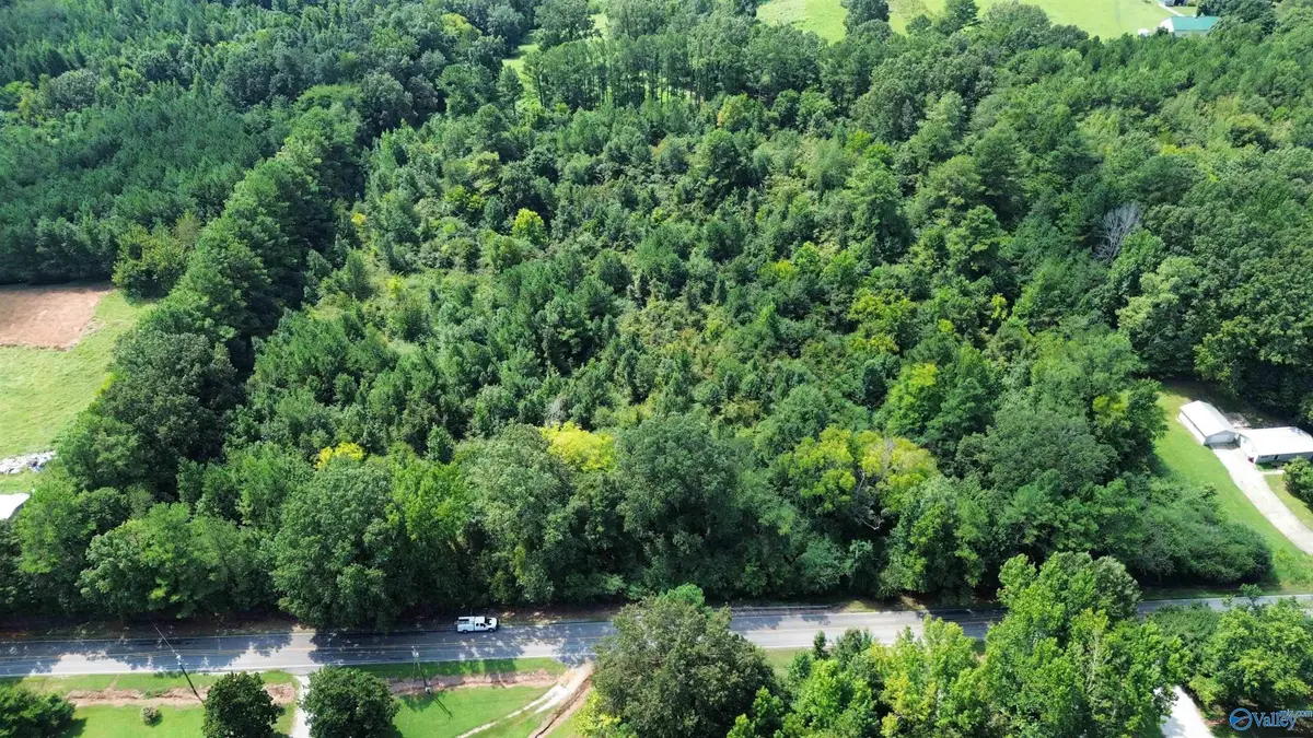 10 Acres Snake Road, Athens, AL 35611 - #1