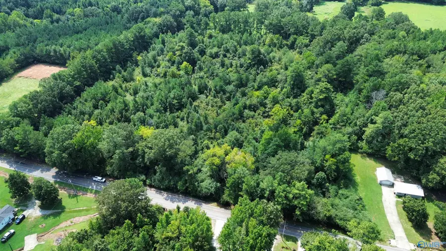 10 Acres Snake Road, Athens, AL 35611 - #2