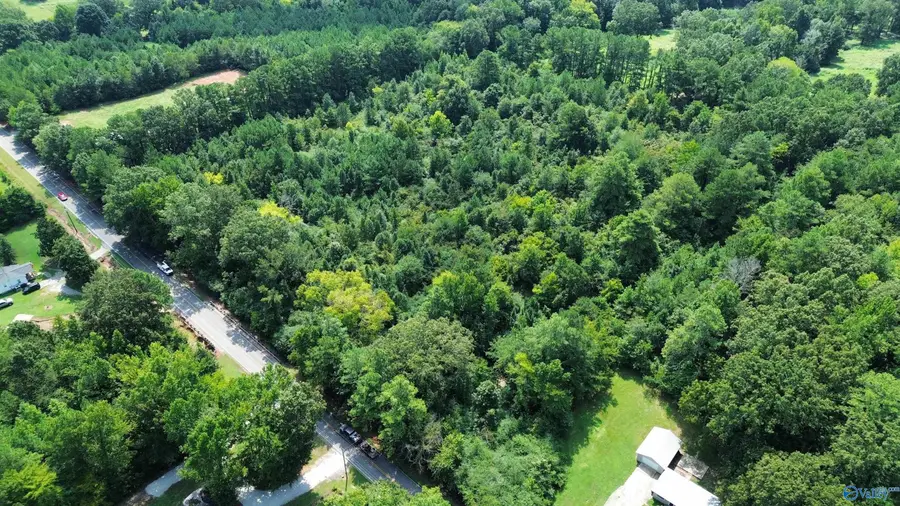 10 Acres Snake Road, Athens, AL 35611 - #3