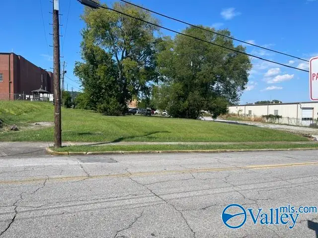 .26 ac Chestnut Street, Gadsden, AL 35901 - #2