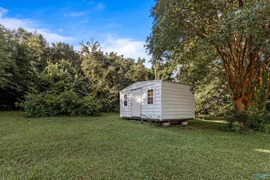3399 Godfrey Avenue Ne, Fort Payne, AL 35967 - #3
