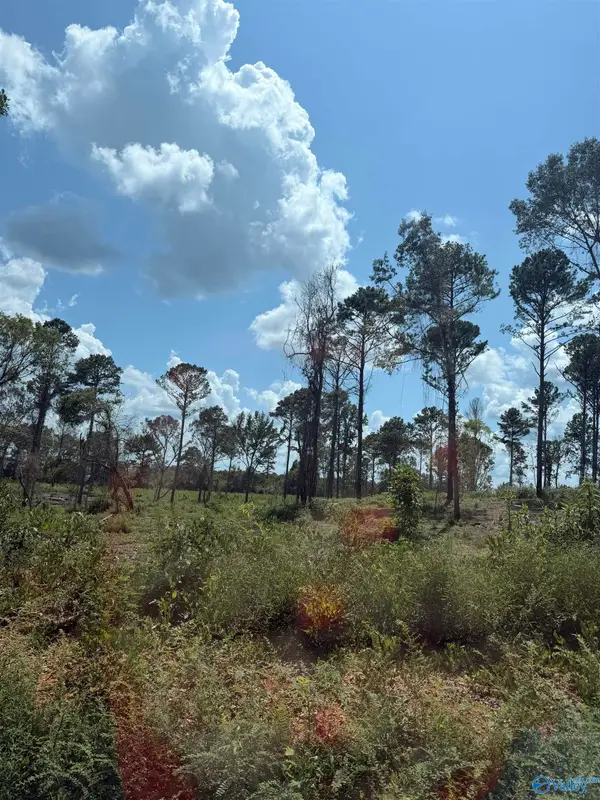 Lot 34 County Road 158, Centre, AL 35960