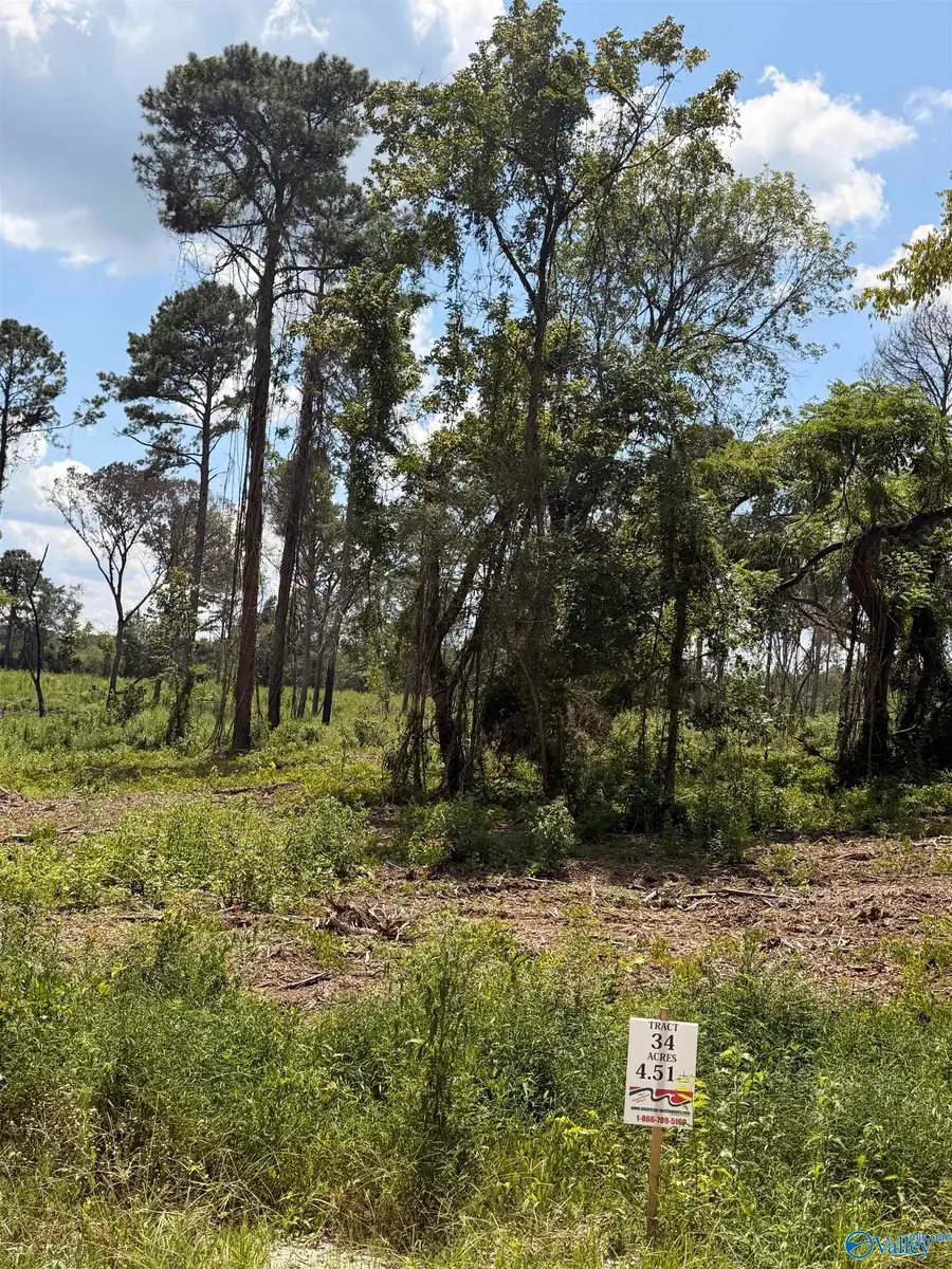 Lot 34 County Road 158, Centre, AL 35960 - #2