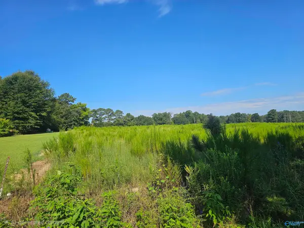 23 Bridge Road, Arab, AL 35016