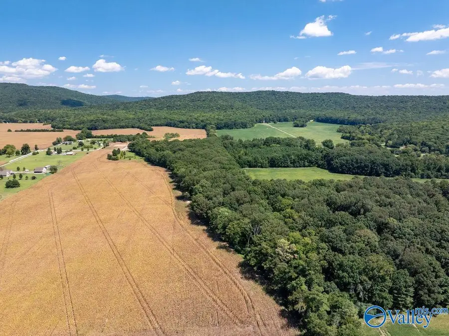 10.11 acres Old Gurley Pike, Gurley, AL 35748 - #2