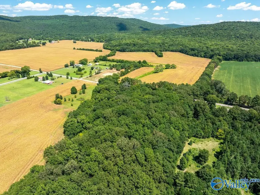 10.11 acres Old Gurley Pike, Gurley, AL 35748 - #3